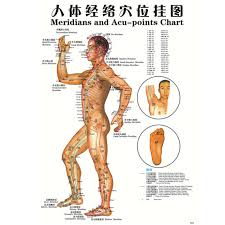 Details About 7pcs English Acupuncture Meridian Acupressure Points Posters Chart Wall Map E3