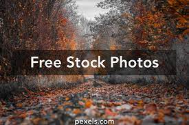 Free motion graphics and animated backgrounds with free hd and 4k video clips to use in your motion video projects, vj loops, backgrounds, . 100 000 Best Hd Background Photos 100 Free Download Pexels Stock Photos