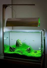 Pecera Aquarium Fish Aquarium Fish Tank Fish Tank