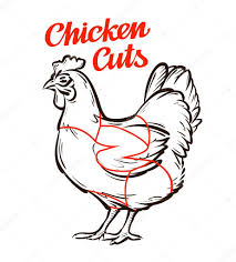 Chicken Butcher Chart Vector Chicken Hen Chart Meat Cuts