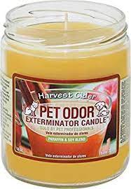Maybe you would like to learn more about one of these? Amazon Com Specialty Pet Products Caramel Vanilla Latte Pet Odor Exterminator 13 Ounce Jar Candle Pet Odors Candles Candle Jars