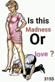 Niiko wasmo live ah 2020 niiko cusub somali 2020. Ciyaaal Xamar Home Facebook