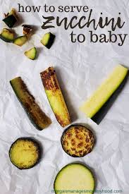 How much protein in a serving of zucchini. How To Serve Zucchini For Babies Morgan Manages Mommyhood