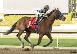 Kentucky Oaks Prep Races: Sunland Park Oaks Odds