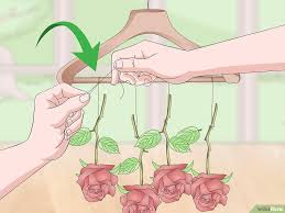 How To Preserve Flowers With Hairspray How To Preserve Flowers Perserving Flowers Dying Flowers