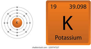 نتیجه جستجوی لغت [potassium] در گوگل