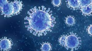 We did not find results for: Virus Respiratorio Sincitial La Enfermedad Respiratoria Que Preocupa A Los Pediatras Y No Es El Coronavirus Bbc News Mundo