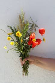 O significado da papoila no ramo da espiga é o amor ?? Dia Da Espiga Da Horta Para A Cozinha