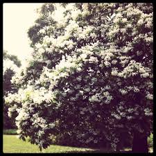 Maybe you would like to learn more about one of these? Recent News Summer Is Awesome Spark Box Studio