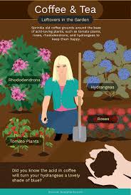 We did not find results for: Health Benefits Of Coffee Grounds And Tea Leaves Fix Com