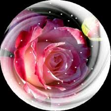 Flower Snow Globes Snow Globes Christmas Snow Globes Christmas Snow Globes Diy