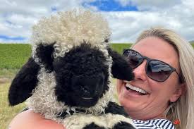 Private Farm Tour With Rose Creek Valais Blacknose Sheep
