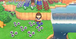 If there are no new flowers, you'll simply. Acnh Blue Pansy How To Get Breed Animal Crossing Gamewith