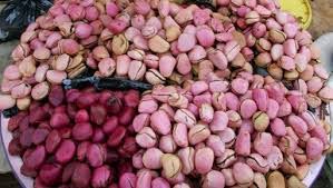 How To Start Bitter Kola Export Business