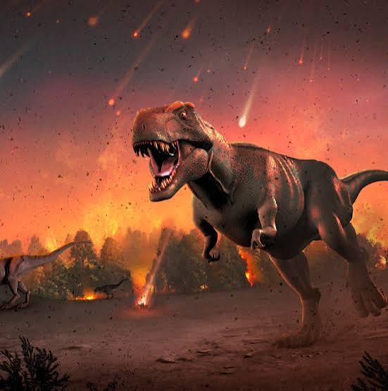 Human extinction: 99 percent of species have gone extinct. What are our  odds? | Vox