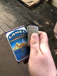 We offers camel filters, camel camel cigarettes were blended in a way that made them easier to smoke, in comparison to other much harsher popular cigarettes brands at the time of. Thought I D Get Some Camel Turkish Royals Haven T Had Them In Years Cigarettes