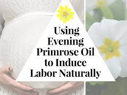 How To Use Evening Primrose Oil To Induce Labor Wehavekids