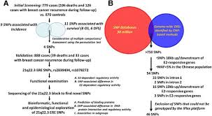 Several other cancers have been associated with this syndrome, including pancreatic and prostate cancers, as well as male breast cancer. Functional Variants At The 21q22 3 Locus Involved In Breast Cancer Progression Identified By Screening Of Genome Wide Estrogen Response Elements Breast Cancer Research Full Text