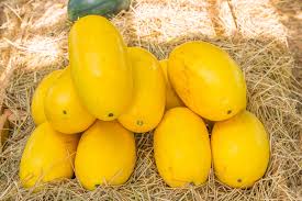 Frozen squash is excellent because it is quickly thrown into other dishes and warms up easily. How To Store Spaghetti Squash Keeping It Fresh Tasty
