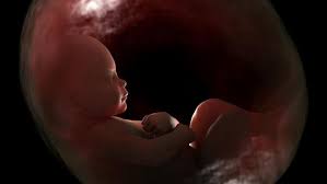 Oh iya, pada tahap ini, embrio telah terbentuk dan menghasilkan tiga lapisan embrionik, yaitu ektoderm, mesoderm nah, lapisan ini adalah lapisan terdalam. 3 Fase Perkembangan Janin Menurut Islam Bunda Perlu Tahu
