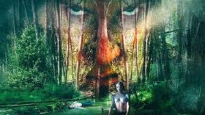 The Wind (2001) | Rotten Tomatoes