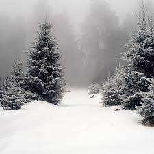 Free latest hd wallpapers for desktop pc, ipad, iphone, android phone Winter Ipad Backgrounds 2048x2048 Wallpaper Teahub Io