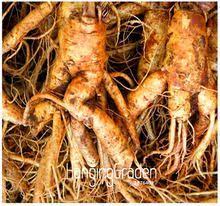 150 Best Seeds Images Seeds Fruit Seeds Garden Supplies