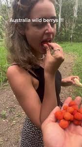 Wild Berries Marketplace in Arcata Ca