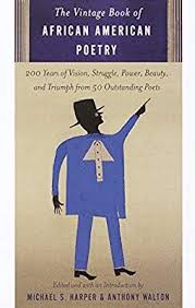 Amazon Com The Vintage Book Of African American Poetry 200 Years Of Vision Struggle Power Beauty And Triump American Poetry Vintage Book African American