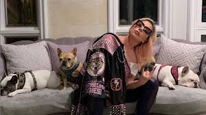 Lady gaga, who is in rome on a film shoot, is justifiably upset and has offered, reports tmz, $500,000 for her dogs' return. A03jlulwycol0m
