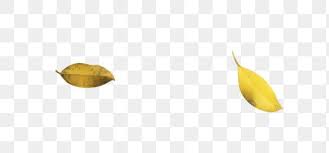Autumn Yellow Leaves Fall To The Ground Autumn Yellow Fallen Leaves Leaves Png Transparent Clipart Image And Psd File For Free Download Yellow Leaves Leaf Clipart Autumn Leaves Download and use them in your website, document or presentation. pinterest