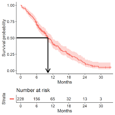 Survival Analysis In R