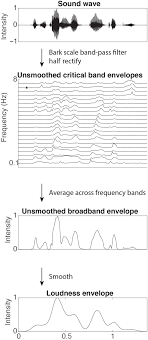 Experiment 4, with monolingual english speakers, assesses transfer of. A Speech Envelope Landmark For Syllable Encoding In Human Superior Temporal Gyrus Science Advances