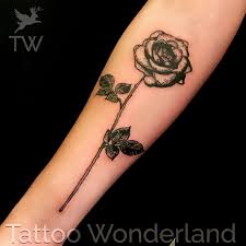 Blackwork Rose Tattoo Tattoo Shop Tattoos Best Tattoo Shops