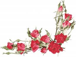 Click to get free rose paper flower template. Rose Petals Vector Free Vector Download 3 067 Free Vector For Commercial Use Format Ai Eps Cdr Svg Vector Illustration Graphic Art Design