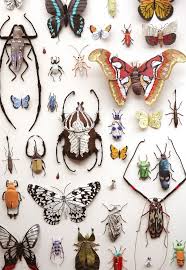I Create Bugs Butterflies And Insects Using Recycled Paper Wire And Thread Insect Art Paper Sculpture Bug Art