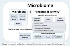A huge percentage of world total population faces the food problem. Microbiome Wikipedia