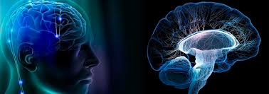 Multiple sclerosis (ms) is thought to be an autoimmune disease; Ms Multiple Sklerose Gencell Stem Cell Treatment
