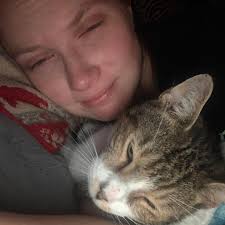 Hard carriers needed for spay/neuter clinic