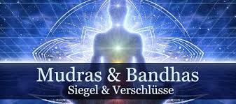 Browse our extensive yoga pose library, with a vast collection of basic poses, advanced poses, seated and standing poses, twists, and bandha techniques. Maha Bandha