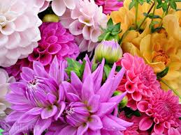 Get ftd® flower delivery today! Bulk Cut Flower Orders For Local Weddings Parties Events Dahlia Barn