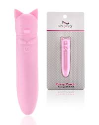Amazon.com: Spencer's Sexology Pussy Power 8-Function Rechargeable Bullet  Vibrator | Portable Vibrator | 4 Inch : Health & Household