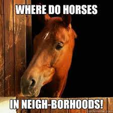 Where Do Horses Live In Neigh Borhoods Horse Joke Quickmeme