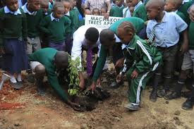 On sunday august 15, machakos first lasy lillian nganga announced her separation from governor alfred. Mutua Targets 50 Million Trees In Machakos By 2022 Mauvoo