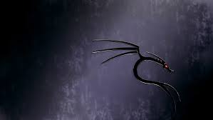 Kali Linux 1080p 2k 4k 5k Hd Wallpapers Free Download Wallpaper Flare You must follow original resolution and size, or you can import the current image to image editor then cover the image with your own, then save and replace the original one.