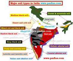 Major Soil Types Of India Alluvial Soils Black Soils