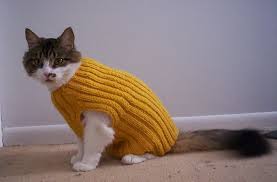 Looking for free crochet patterns? Cats Love Sweaters Cat Sweater Pattern Cat Sweater Knitting Pattern Knitted Cat