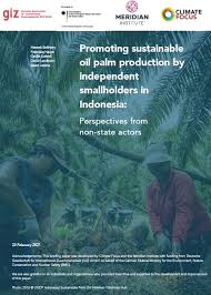 Promoting sustainable oil palm production by independent smallholders in  Indonesia: Perspectives from non-state actors
