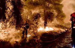 We did not find results for: Fwtia Sxinos Defence Point Gr