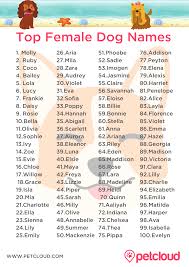 Great ideas for naming your puppy. Good Dog Names